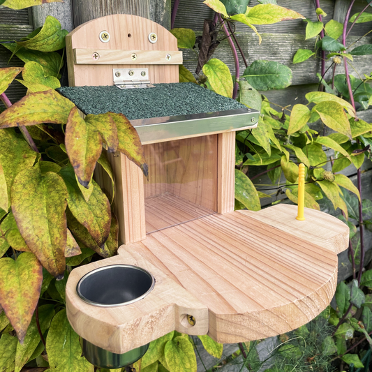 Squirrel Stopover - Feeder with Water Bowl and Corn Holder