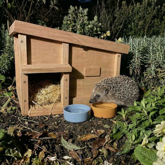 Hedgehog Hideaway - House with Bedding and Bowls
