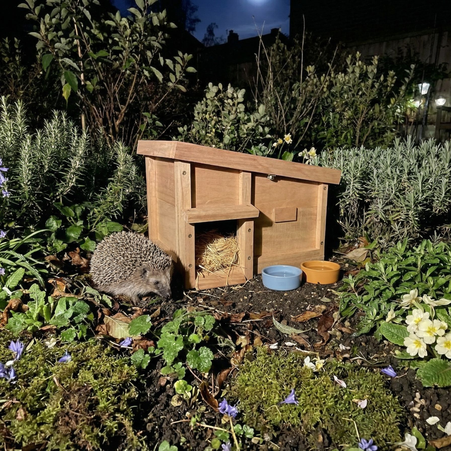 Hedgehog Hideaway - House with Bedding and Bowls