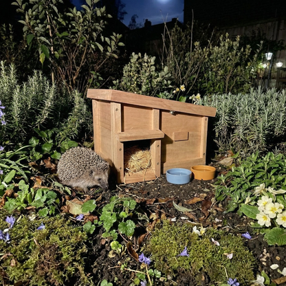 Hedgehog Hideaway - House with Bedding and Bowls