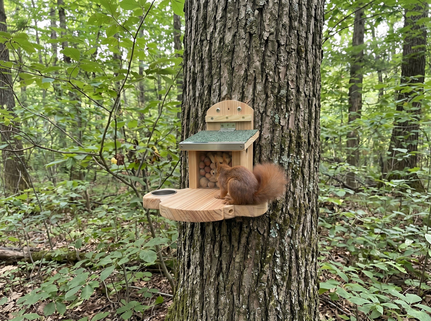 Squirrel Stopover - Feeder with Water Bowl and Corn Holder